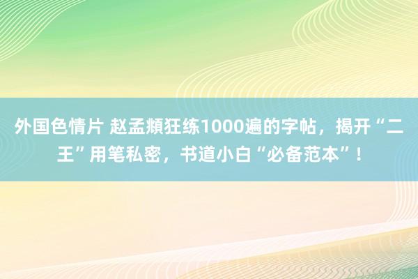 外国色情片 赵孟頫狂练1000遍的字帖，揭开“二王”用笔私密，书道小白“必备范本”！