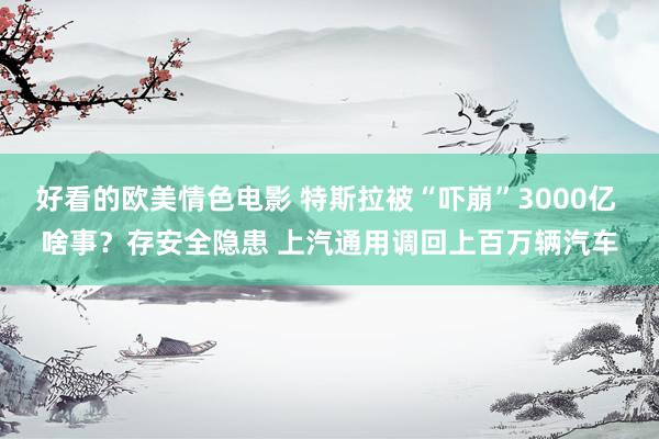 好看的欧美情色电影 特斯拉被“吓崩”3000亿 啥事？存安全隐患 上汽通用调回上百万辆汽车