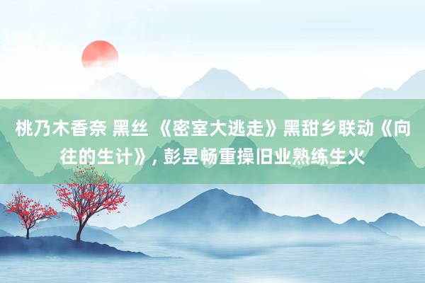 桃乃木香奈 黑丝 《密室大逃走》黑甜乡联动《向往的生计》， 彭昱畅重操旧业熟练生火