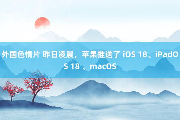 外国色情片 昨日凌晨，苹果推送了 iOS 18、iPadOS 18 、macOS