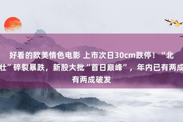 好看的欧美情色电影 上市次日30cm跌停！“北证少壮”碎裂暴跌，新股大批“首日巅峰”，年内已有两成破发