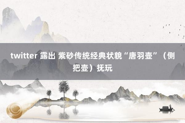 twitter 露出 紫砂传统经典状貌“唐羽壶”（侧把壶）抚玩