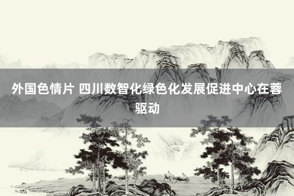 外国色情片 四川数智化绿色化发展促进中心在蓉驱动