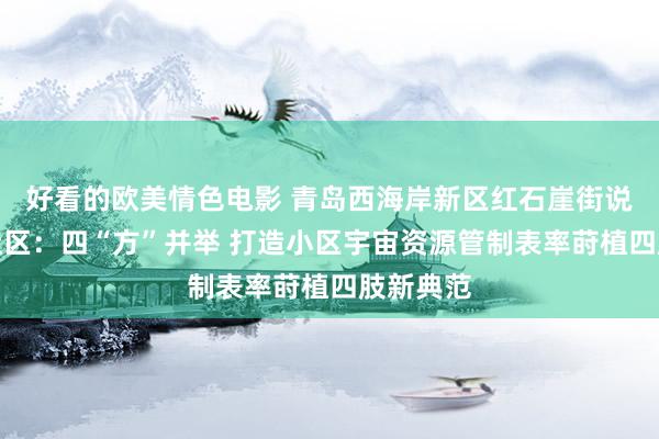 好看的欧美情色电影 青岛西海岸新区红石崖街说念福莱社区：四“方”并举 打造小区宇宙资源管制表率莳植四肢新典范