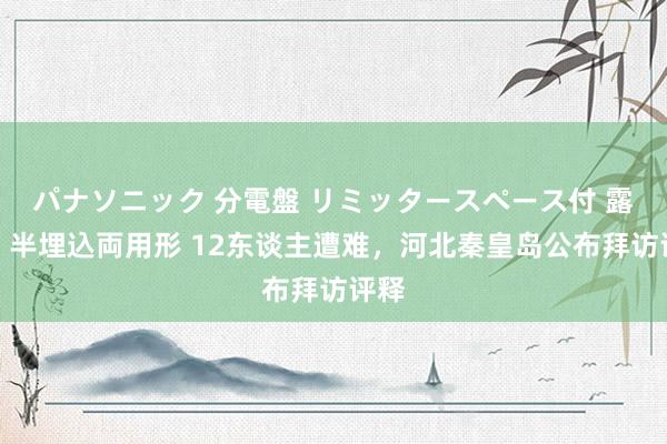 パナソニック 分電盤 リミッタースペース付 露出・半埋込両用形 12东谈主遭难，河北秦皇岛公布拜访评释