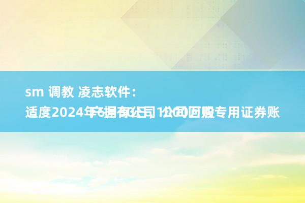 sm 调教 凌志软件：
适度2024年6月30日，公司回购专用证券账户捏有公司1000万股