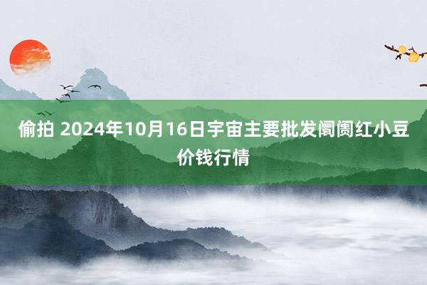 偷拍 2024年10月16日宇宙主要批发阛阓红小豆价钱行情