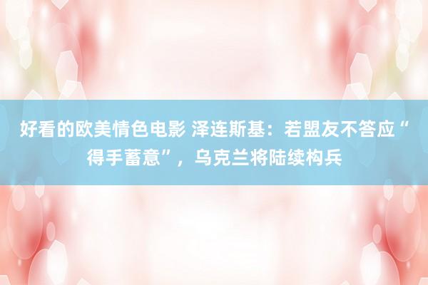 好看的欧美情色电影 泽连斯基：若盟友不答应“得手蓄意”，乌克兰将陆续构兵