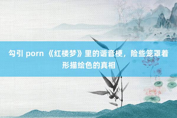 勾引 porn 《红楼梦》里的谐音梗，险些笼罩着形描绘色的真相