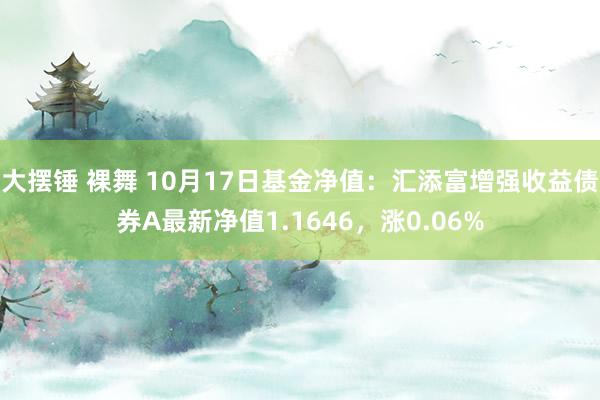 大摆锤 裸舞 10月17日基金净值：汇添富增强收益债券A最新净值1.1646，涨0.06%