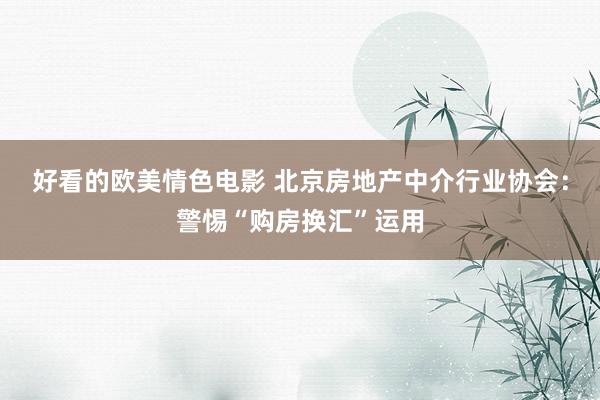 好看的欧美情色电影 北京房地产中介行业协会：警惕“购房换汇”运用