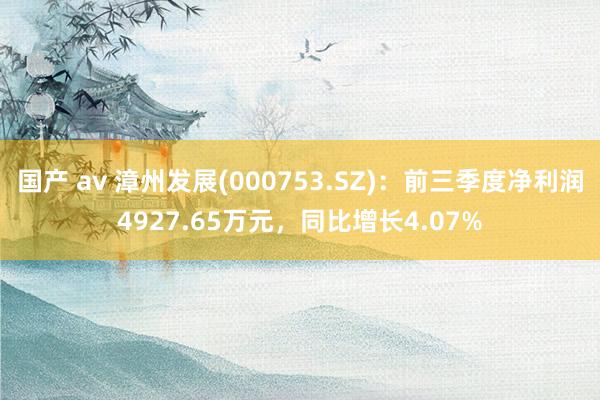 国产 av 漳州发展(000753.SZ)：前三季度净利润4927.65万元，同比增长4.07%