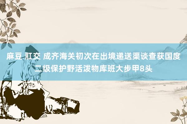麻豆 肛交 成齐海关初次在出境递送渠谈查获国度二级保护野活泼物库班大步甲8头