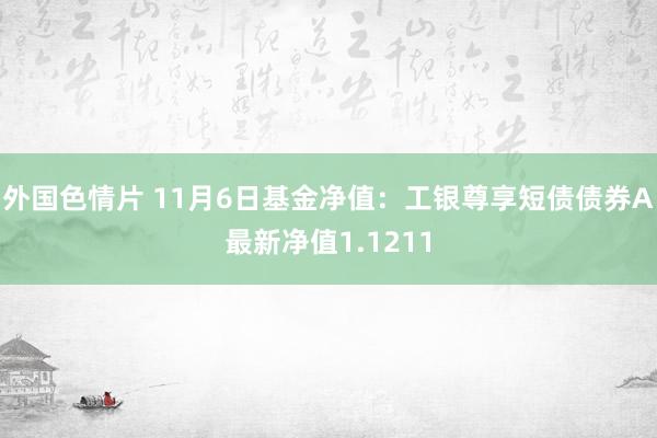 外国色情片 11月6日基金净值：工银尊享短债债券A最新净值1.1211