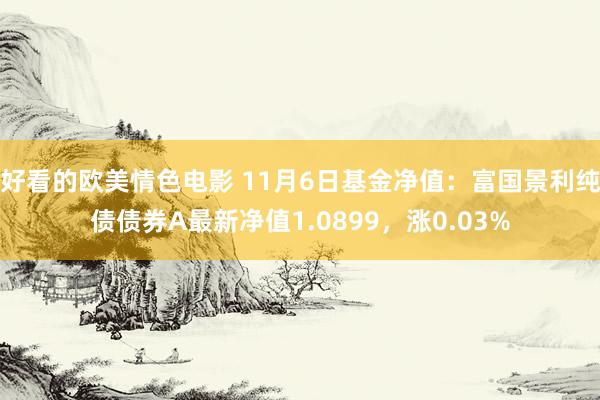 好看的欧美情色电影 11月6日基金净值：富国景利纯债债券A最新净值1.0899，涨0.03%