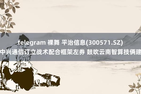 telegram 裸舞 平治信息(300571.SZ)与中兴通信订立战术配合框架左券 鼓吹云南智算技俩建造