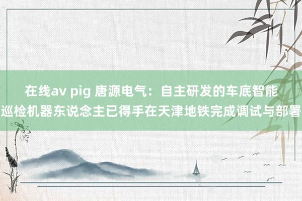 在线av pig 唐源电气：自主研发的车底智能巡检机器东说念主已得手在天津地铁完成调试与部署
