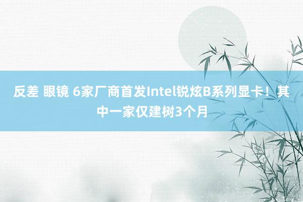 反差 眼镜 6家厂商首发Intel锐炫B系列显卡！其中一家仅建树3个月