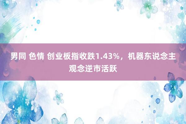 男同 色情 创业板指收跌1.43%，机器东说念主观念逆市活跃