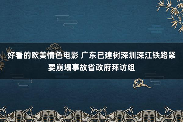 好看的欧美情色电影 广东已建树深圳深江铁路紧要崩塌事故省政府拜访组