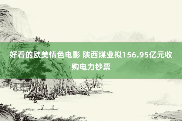 好看的欧美情色电影 陕西煤业拟156.95亿元收购电力钞票