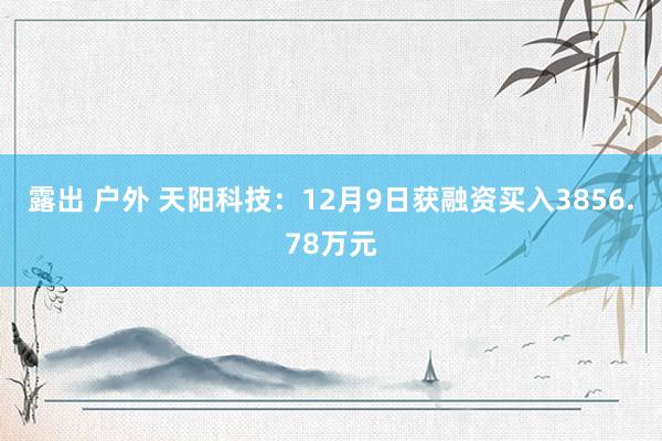 露出 户外 天阳科技：12月9日获融资买入3856.78万元