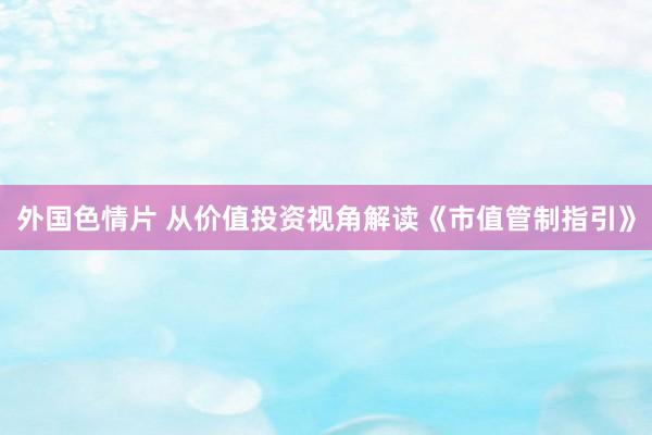 外国色情片 从价值投资视角解读《市值管制指引》