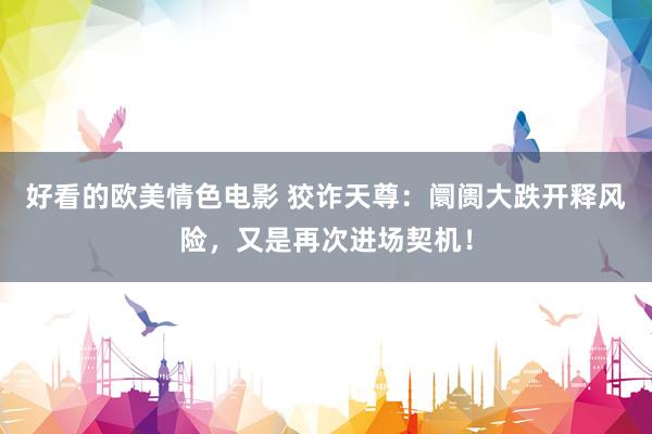 好看的欧美情色电影 狡诈天尊：阛阓大跌开释风险，又是再次进场契机！