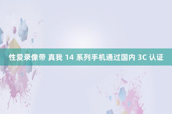 性爱录像带 真我 14 系列手机通过国内 3C 认证