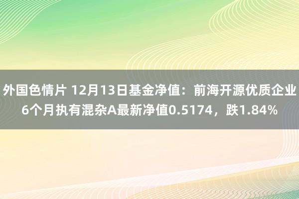 外国色情片 12月13日基金净值：前海开源优质企业6个月执有混杂A最新净值0.5174，跌1.84%