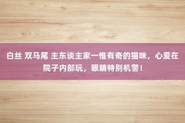 白丝 双马尾 主东谈主家一惟有奇的猫咪，心爱在院子内部玩，眼睛特别机警！