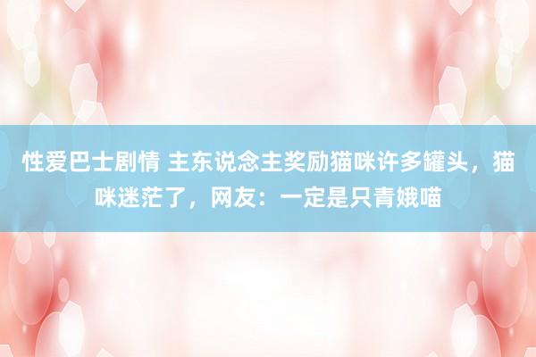 性爱巴士剧情 主东说念主奖励猫咪许多罐头，猫咪迷茫了，网友：一定是只青娥喵