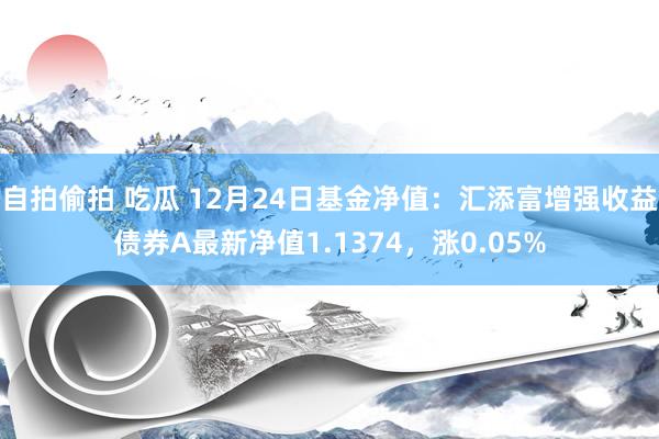 自拍偷拍 吃瓜 12月24日基金净值：汇添富增强收益债券A最新净值1.1374，涨0.05%