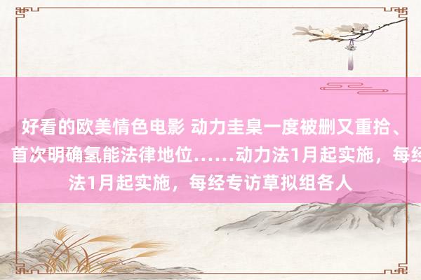 好看的欧美情色电影 动力圭臬一度被删又重拾、严控斥地小水电、首次明确氢能法律地位……动力法1月起实施，每经专访草拟组各人