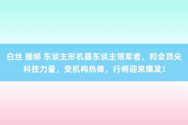 白丝 捆绑 东谈主形机器东谈主领军者，和会顶尖科技力量，受机构热捧，行将迎来爆发！