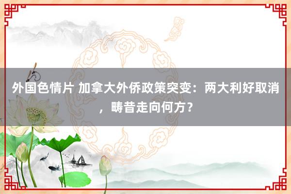 外国色情片 加拿大外侨政策突变：两大利好取消，畴昔走向何方？
