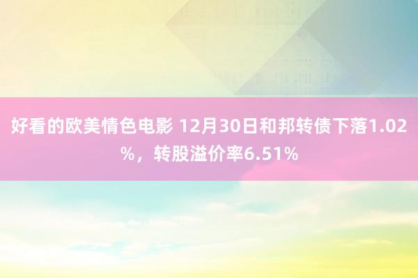 好看的欧美情色电影 12月30日和邦转债下落1.02%，转股溢价率6.51%