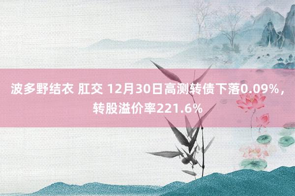 波多野结衣 肛交 12月30日高测转债下落0.09%，转股溢价率221.6%