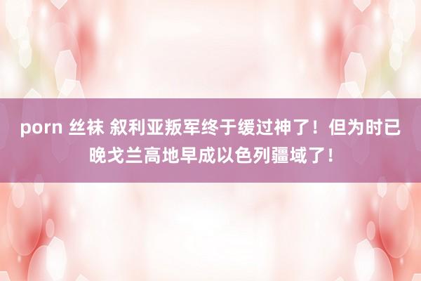 porn 丝袜 叙利亚叛军终于缓过神了！但为时已晚戈兰高地早成以色列疆域了！