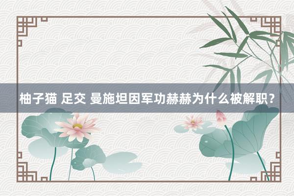 柚子猫 足交 曼施坦因军功赫赫为什么被解职？