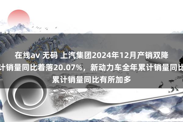 在线av 无码 上汽集团2024年12月产销双降，全年累计销量同比着落20.07%，新动力车全年累计销量同比有所加多
