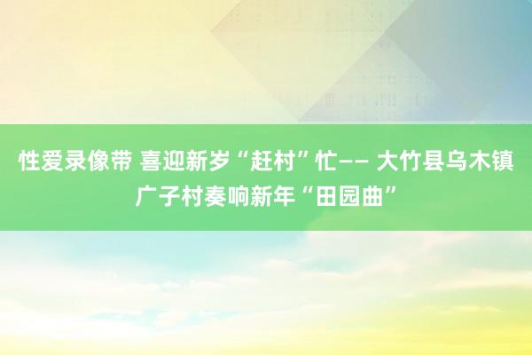 性爱录像带 喜迎新岁“赶村”忙—— 大竹县乌木镇广子村奏响新年“田园曲”