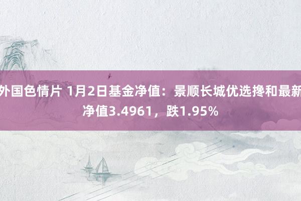 外国色情片 1月2日基金净值：景顺长城优选搀和最新净值3.4961，跌1.95%
