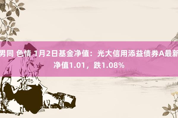 男同 色情 1月2日基金净值：光大信用添益债券A最新净值1.01，跌1.08%