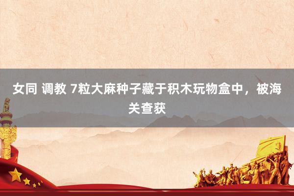 女同 调教 7粒大麻种子藏于积木玩物盒中，被海关查获