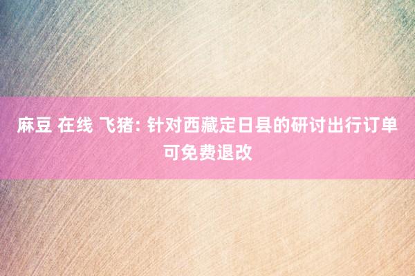 麻豆 在线 飞猪: 针对西藏定日县的研讨出行订单可免费退改
