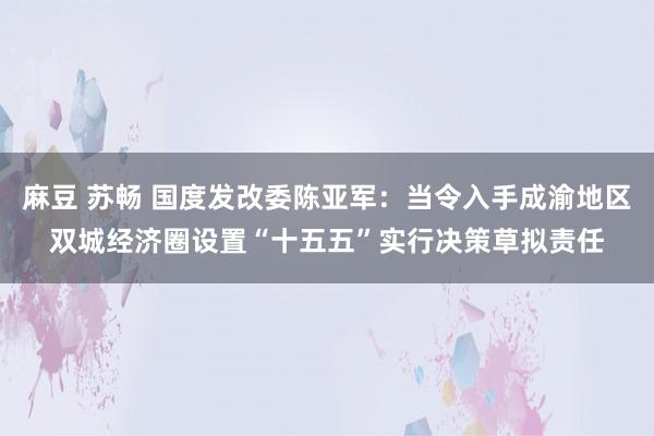 麻豆 苏畅 国度发改委陈亚军：当令入手成渝地区双城经济圈设置“十五五”实行决策草拟责任