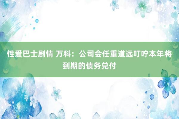 性爱巴士剧情 万科：公司会任重道远叮咛本年将到期的债务兑付
