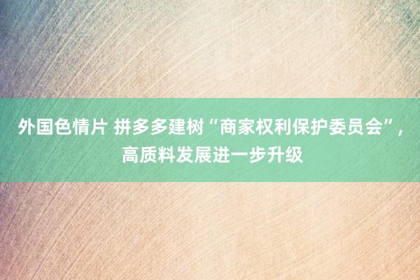 外国色情片 拼多多建树“商家权利保护委员会”， 高质料发展进一步升级