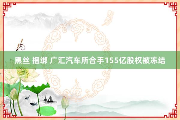 黑丝 捆绑 广汇汽车所合手155亿股权被冻结